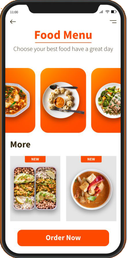 Online Ordering ecommerce Software System App